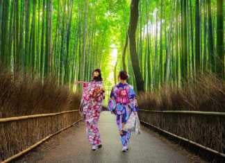 day trips from osaka