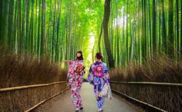 day trips from osaka