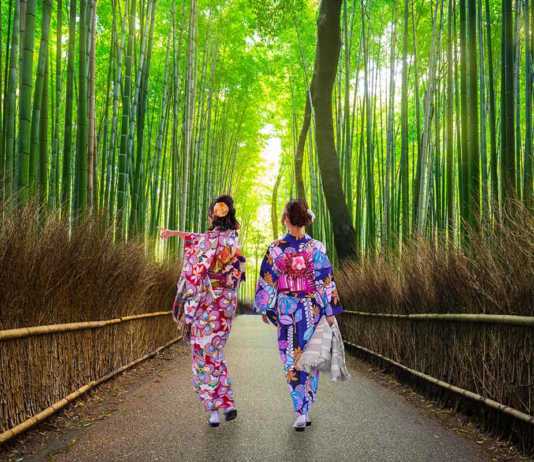 day trips from osaka