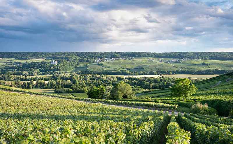 day trips from paris to champagne vineyards
