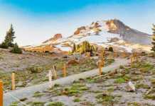 20 Day Trips From Portland You Need To Take day trips from portland winter marked trail to snow-covered mountain