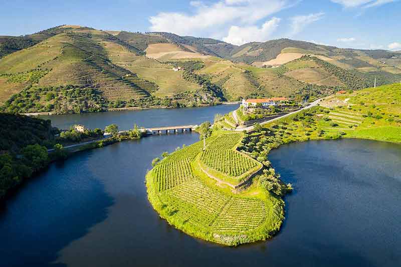 day trips from porto to douro valley drone aerial view of s shape bend river in Quinta do Tedo at sunset