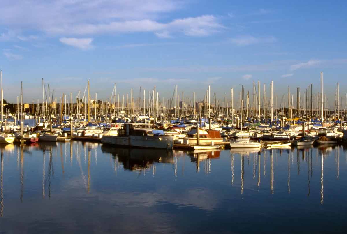 day trips from san francisco during covid many boats moored in the marina