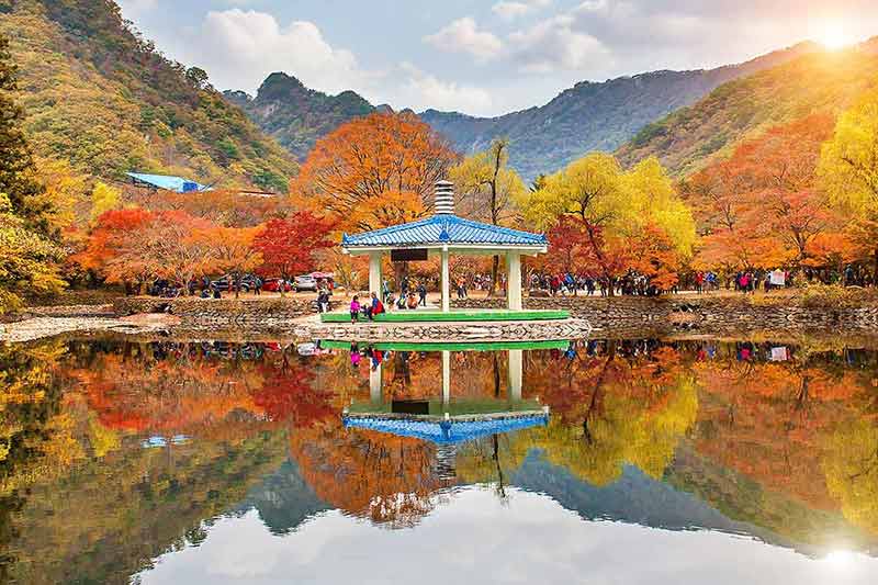 day trips from seoul in autumn