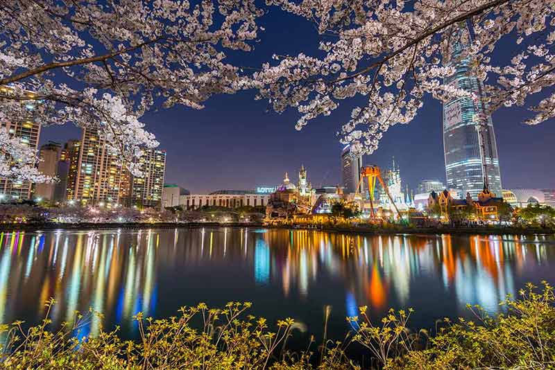 day trips from seoul korea cherry blossoms at Lotte World at night