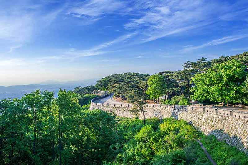 day trips from seoul to see nature green trees along the fortress wall