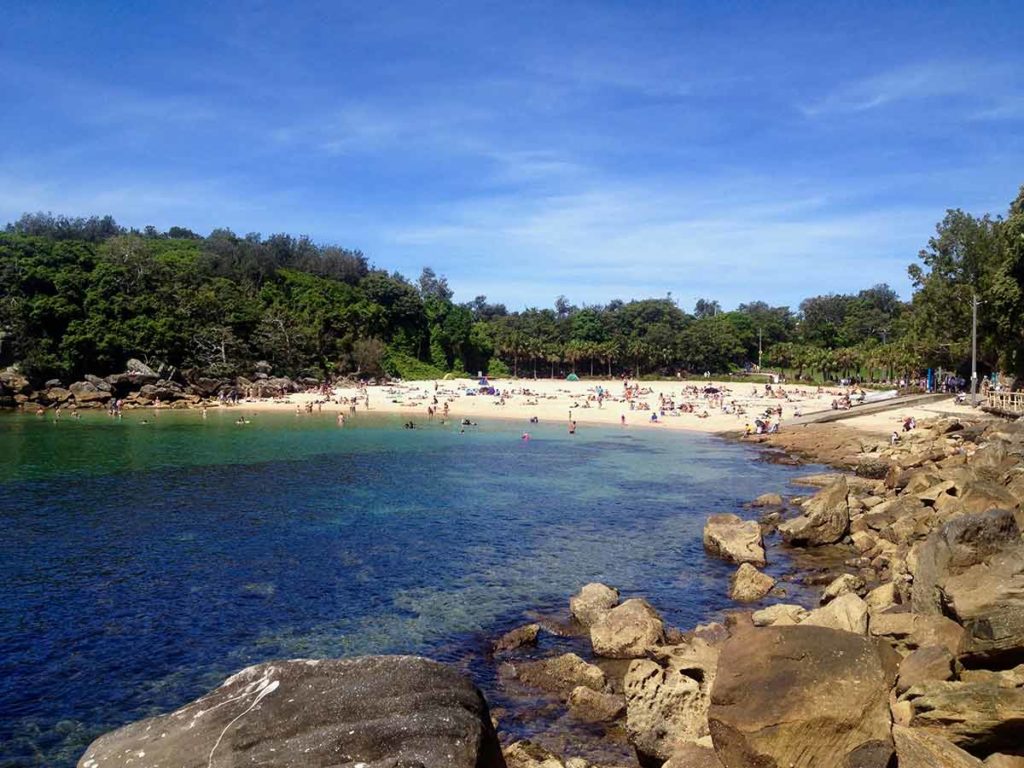 day trips from sydney shelley beach in manly