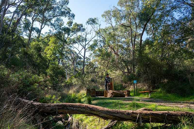day trips in melbourne