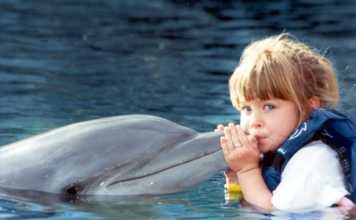 disneyland amusement park