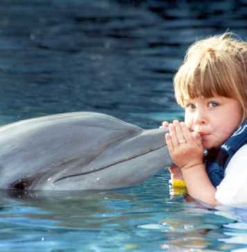 disneyland amusement park