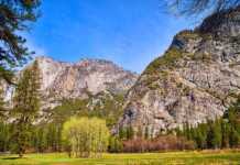 San Francisco To Yosemite: The California Road Trip You’ll Never Forget distance from san francisco to yosemite