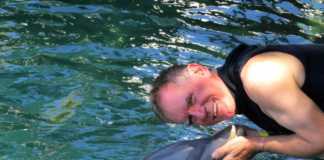 dolphin cove montego bay