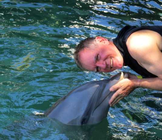 dolphin cove montego bay