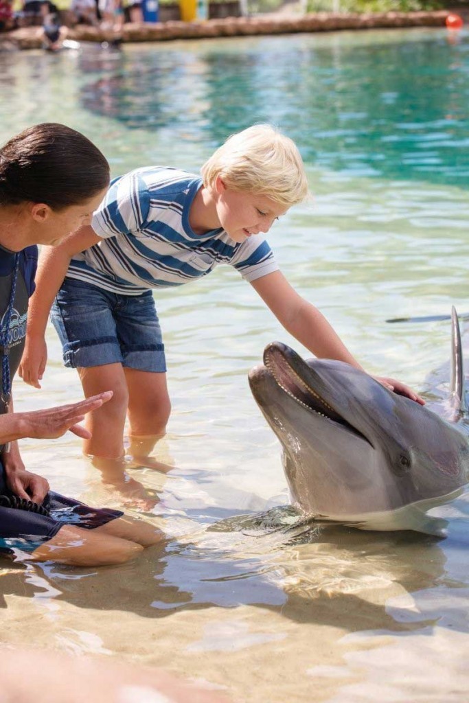 Things to do in Queensland with kids