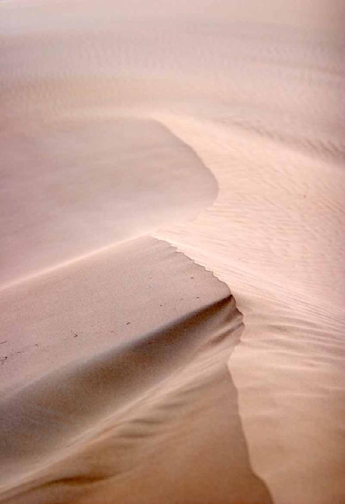 dune bashing dubai