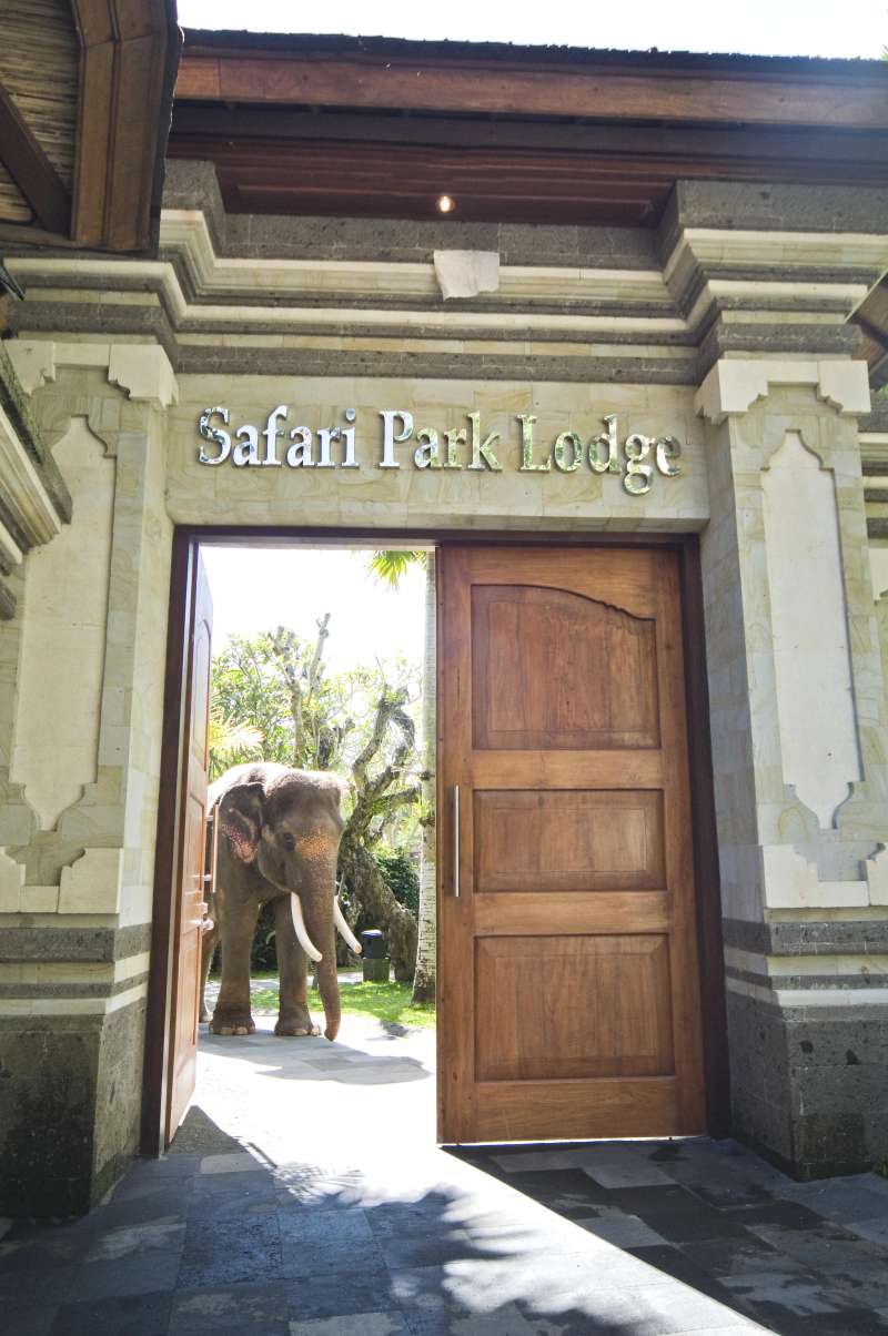 Elephant Safari Park