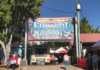 Why Sunshine Coast Locals Love Their Weekend Markets eumundi markets