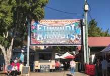 Why Sunshine Coast Locals Love Their Weekend Markets eumundi markets
