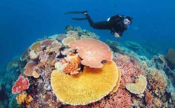 facts about great barrier reef