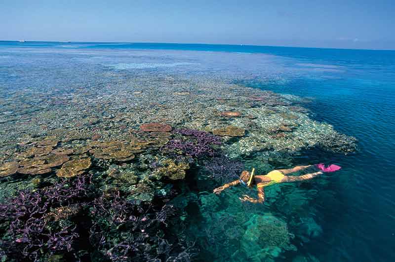 facts about the great barrier reef