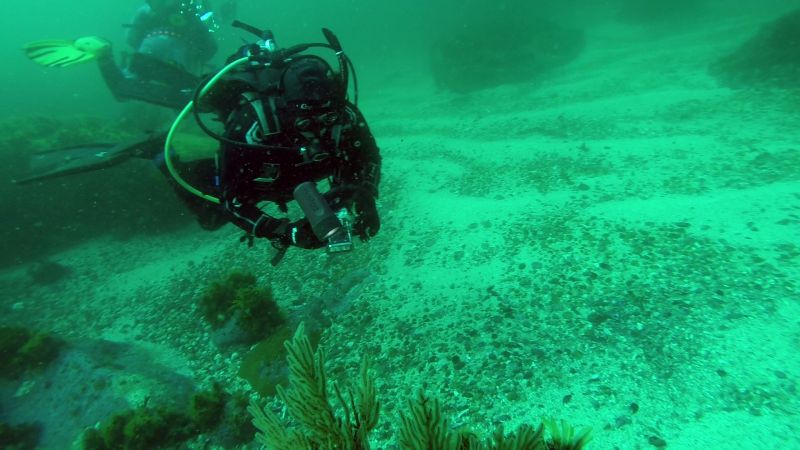 Diving South Africa on the ocean floor