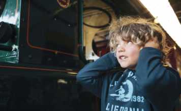 The Ultimate Guide To Tasmania For Families what to do in tasmania with kids