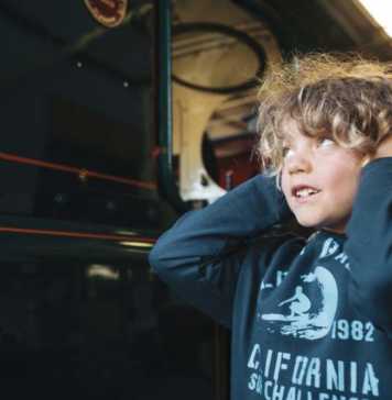 what to do in tasmania with kids