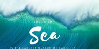famous ocean quotes
