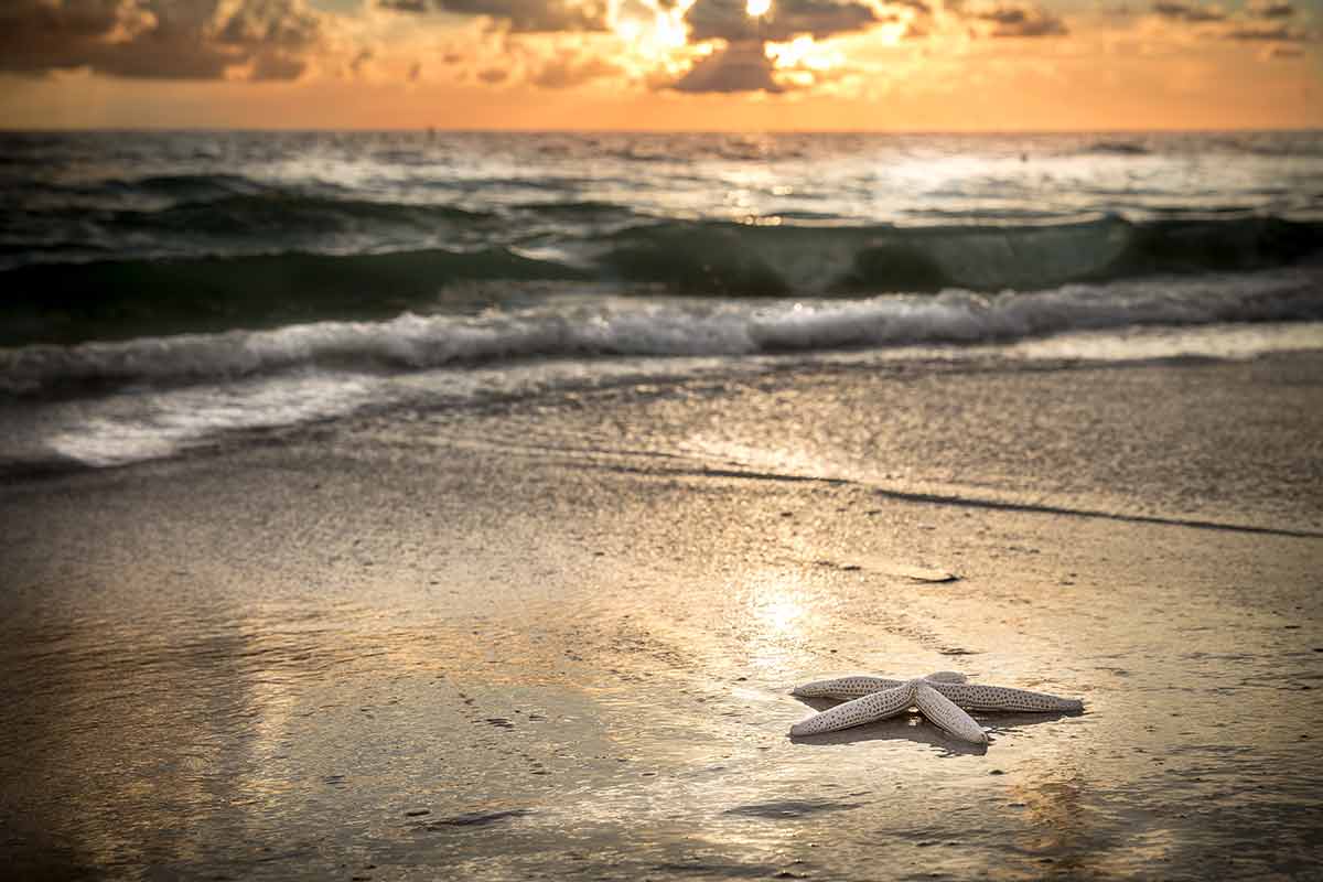 famous panama landmarks starfish on the beach at sunset