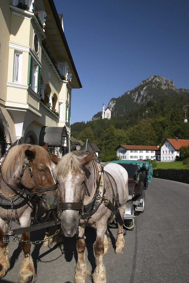 horse-drawn carriage to Neuschwanstein Castle