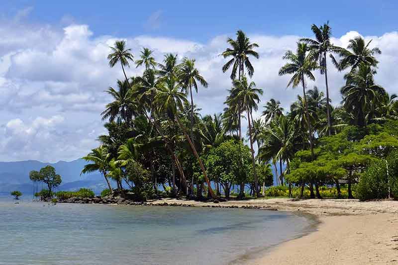 fiji island beaches palm trees on one of the typical Fiji beaches