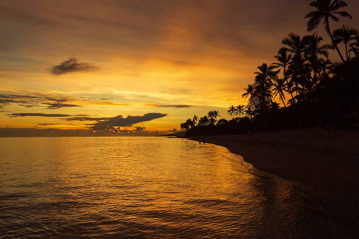 fiji islands beaches silhouette of palm trees