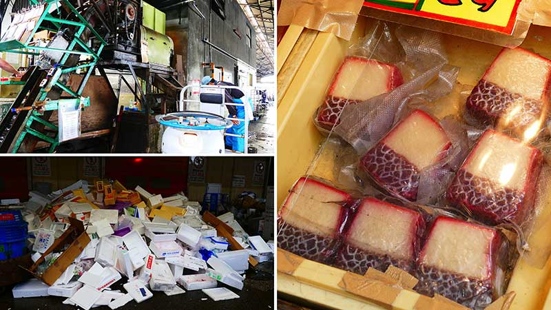 Tsukiji Fish Market tour
