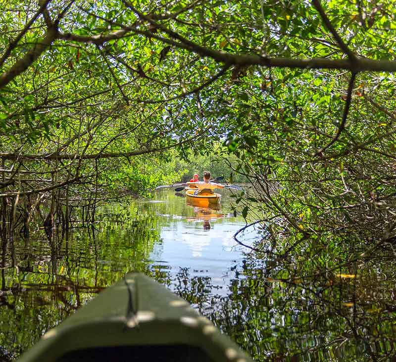 florida national parks itinerary two kayakers seen through the mangroves