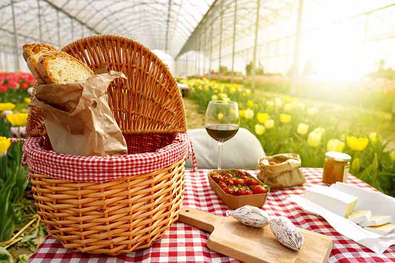 free things to do in austin with family Picnic wicker basket with food on table in tulips greenhouse on sunset.