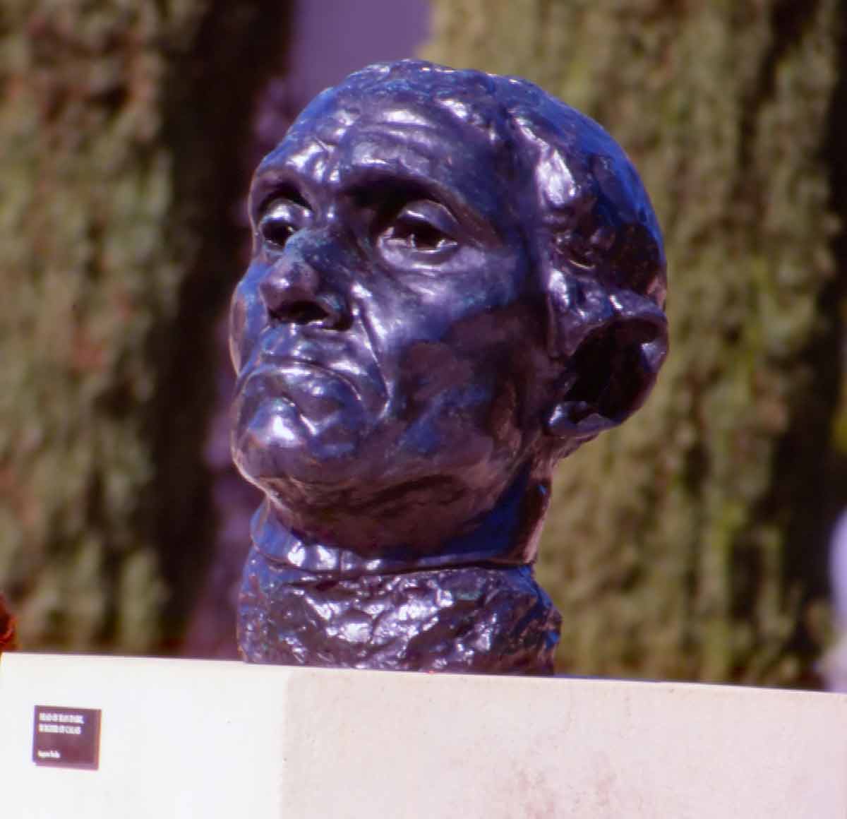 free things to do in palo alto rodin