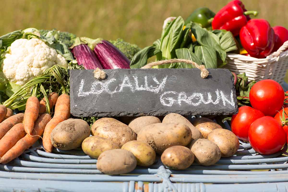 free things to do in sandusky ohio assortment of fresh veges with a sign 'locally grown'