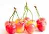20 things to do in Yakima WA for wine lovers who hate crowds Rainier Cherries With Long Stems
