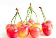 20 things to do in Yakima WA for wine lovers who hate crowds Rainier Cherries With Long Stems