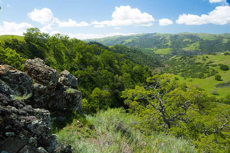 fremont california lush green hills and rocks at sunol regional preserve