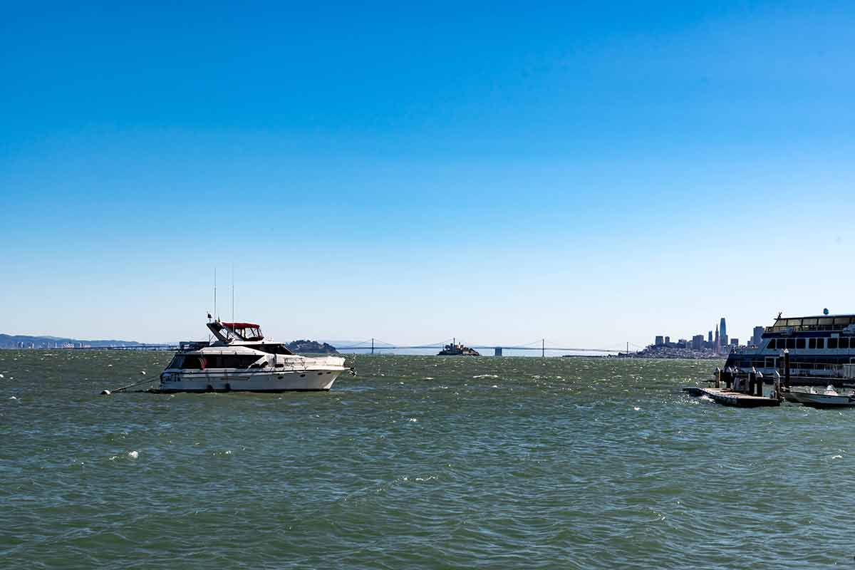 fun day trips from san francisco boats on the bay