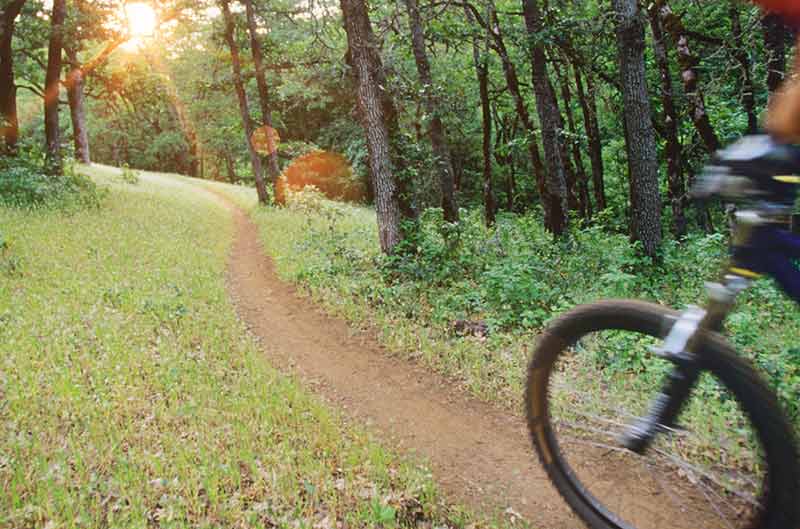 Blurred Motion Of Biker Riding On Forest Trail