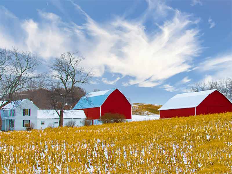 fun things to do in eau claire two red barns