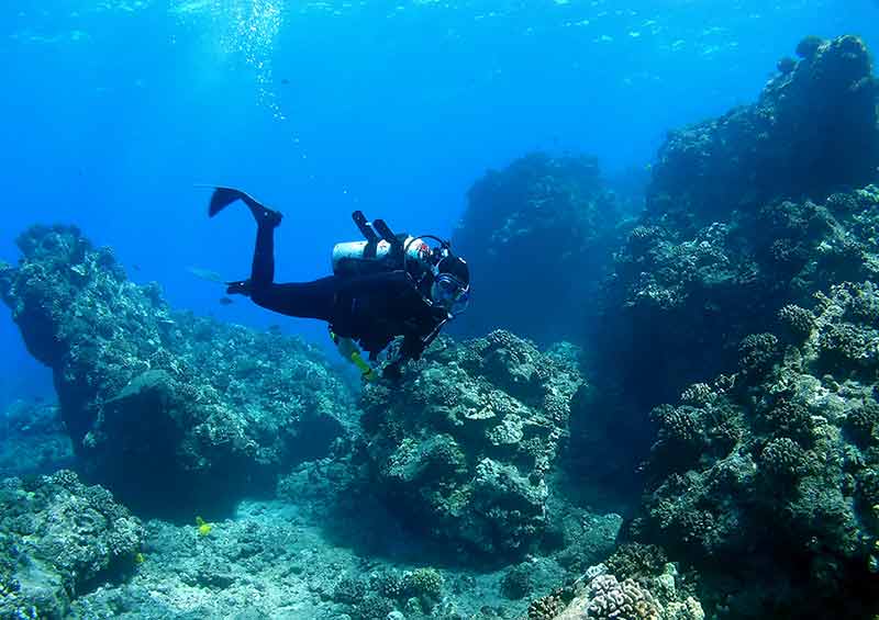 Diver Swimming Through Reef