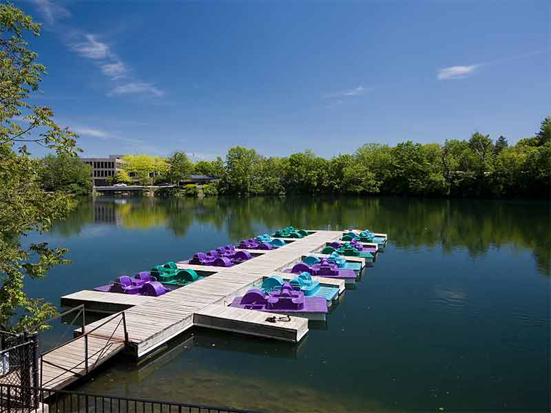 fun things to do in naperville il