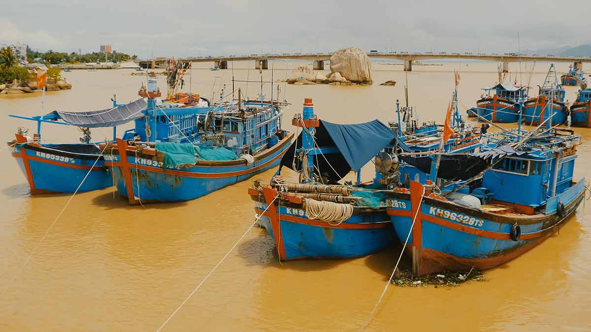Fishing Boats With Red Flags In Nha Trang