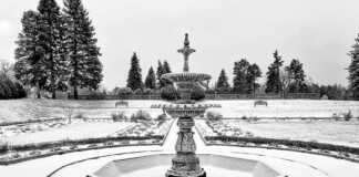 Munsinger Gardens In Winter