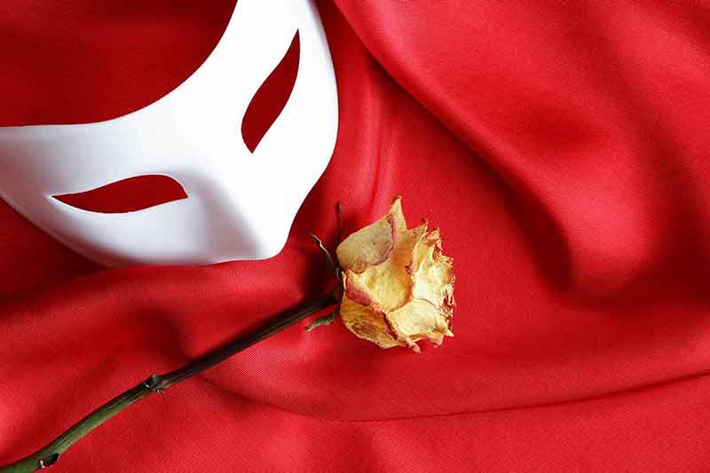 fun things to do in swansea for adults White venetian mask and dry yellow rose on red cloth background
