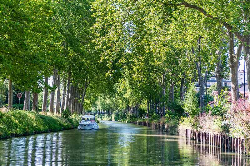 Summer Look On Canal Du Midi Canal In Toulouse