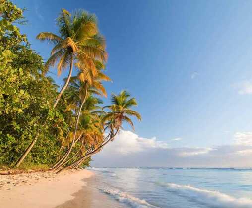 Things To Do In Trinidad And Tobago In 2024